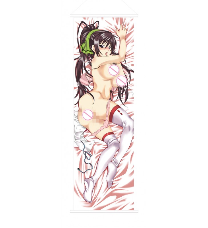 Infinite Stratos Houki Shinonono Anime Wall Poster Banner Japanese Art