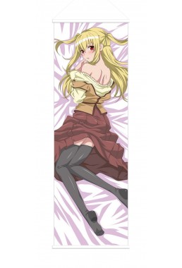 Mariya Shidou Maria Holic Male Anime Wall Poster Banner Japanese Art