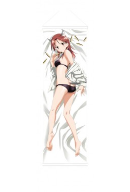 Strike Witches Minna Dietlinde wilcke Anime Wall Poster Banner Japanese Art