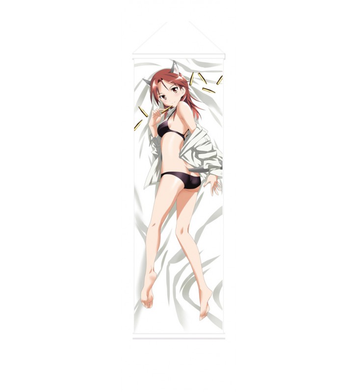 Strike Witches Minna Dietlinde wilcke Anime Wall Poster Banner Japanese Art