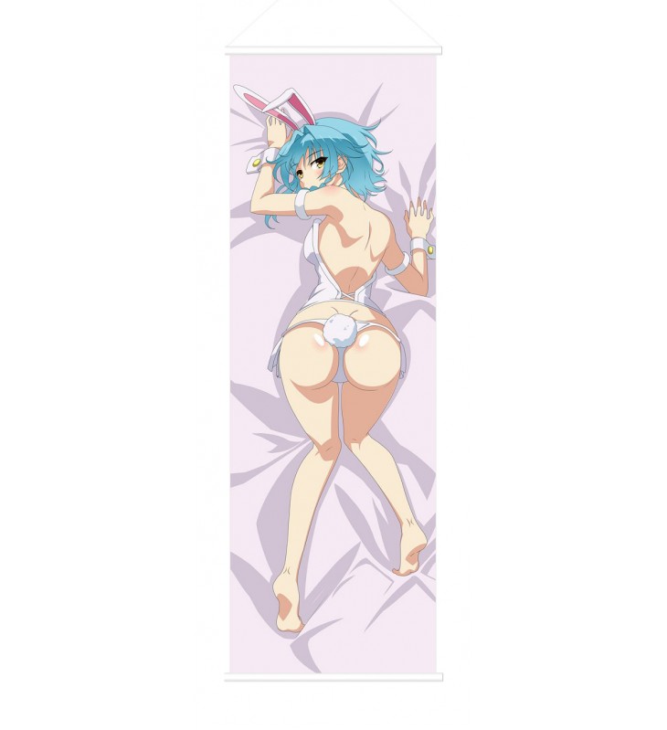Yuki Nonaka The Testament of Sister New Devil Scroll Painting Wall Picture Anime Wall Scroll Hanging Deco