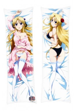 Campione Erica Brandelli Dakimakura Body Pillow Anime